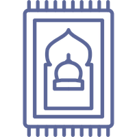 Support & Cushioning